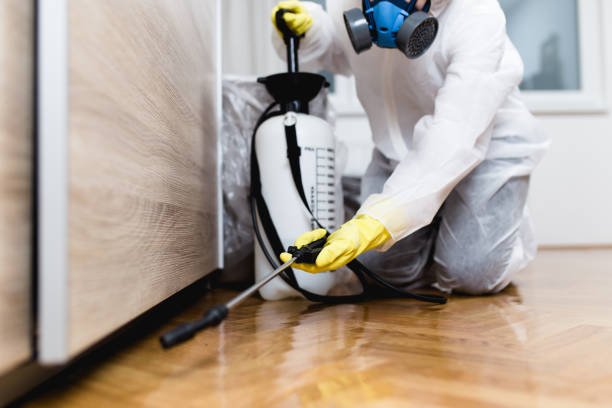 Best Pest Removal Services  in Chesapeake Beach, MD