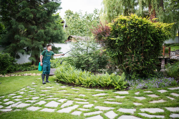 Best Mosquito Control Services  in Chesapeake Beach, MD